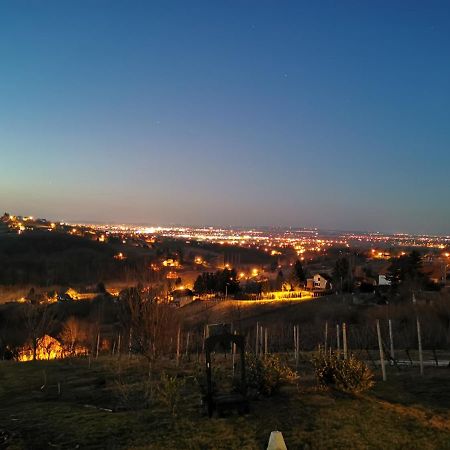 New Vineyards Apartment Varazdin Breg Buitenkant foto